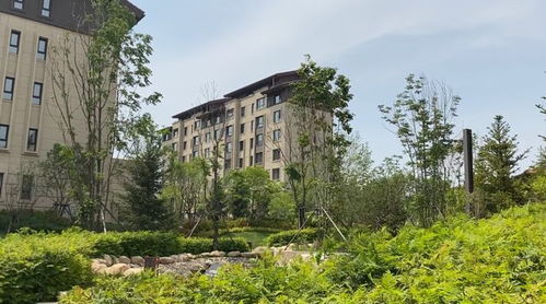 5字頭 即買即下證 長(zhǎng)春低密置業(yè)的首選,從這個(gè)實(shí)景洋房開(kāi)始