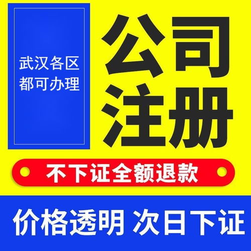 圖 武漢代賬公司 武漢公司注冊 商標注冊 社保代理 武漢工商注冊
